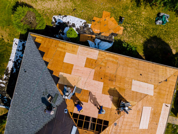 Best New Roof Installation  in Battle Creek, NE