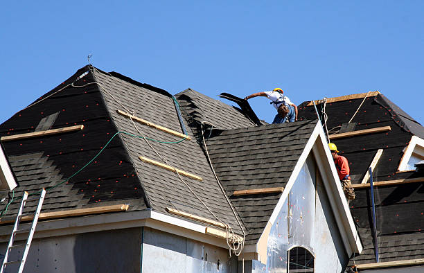 Professional Roofing Contractor in Battle Creek, NE