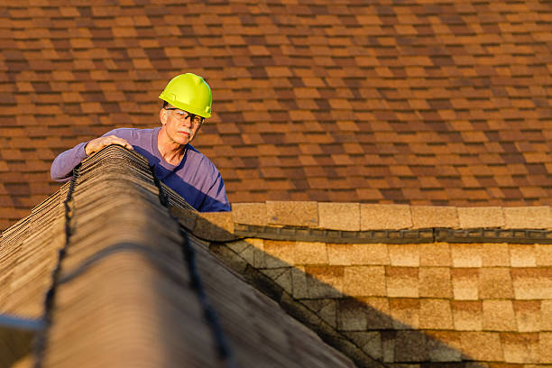 Best Commercial Roofing Services  in Battle Creek, NE